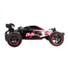 1:20 2.4GHZ 2WD Radio Remote Control Off Road RC RTR Racing Car Truck GN